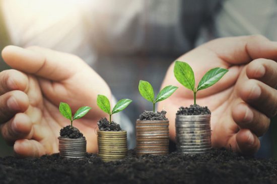 Tanaman Investasi Masa Depan